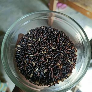 Black rice